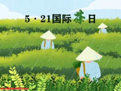 5・21 国际茶日｜南阳茶香盛宴启幕，共泡和合茶，同传公益香