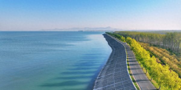 春色染东平，一韵一倾城