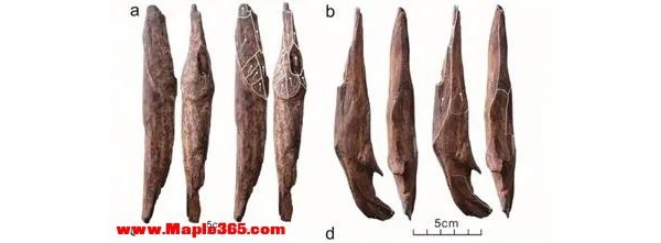 年度国内十大考古新闻发布