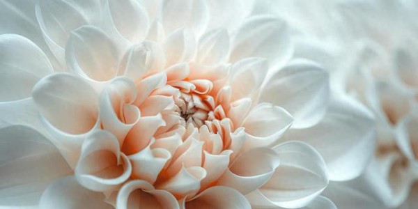 跨境电商怎么玩？这87个全球案例告诉你答案！