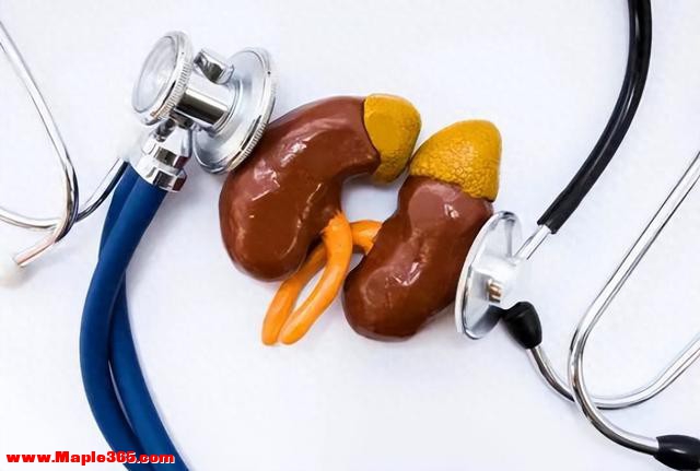 想要保护肾脏，远离尿毒症？要牢记“吃饭两不要，晚上两坚持”！