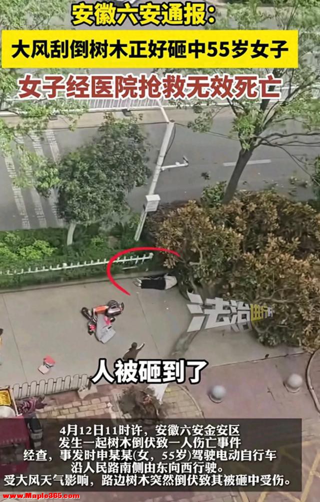 安徽省出现"命案"，现场惨不忍睹！官方最新通报让人痛心