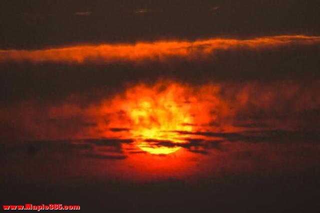 “暴力黄”全开！汨罗江雾、水垅村银杏……惊艳登场