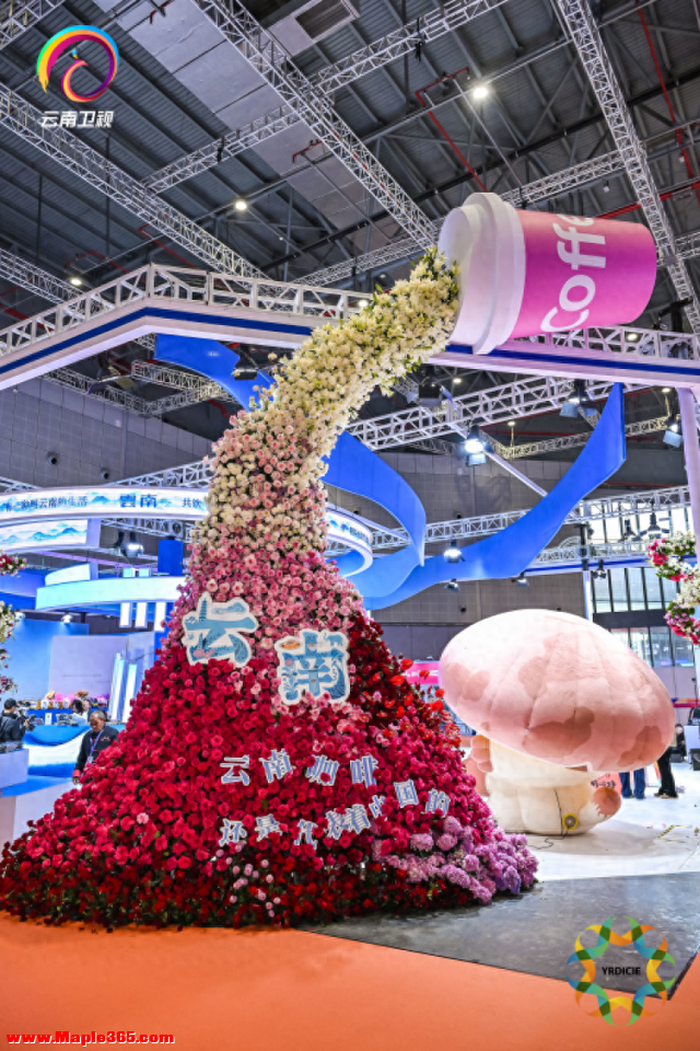 2025长三角文博会｜在文博会上打卡“一种叫云南的生活”