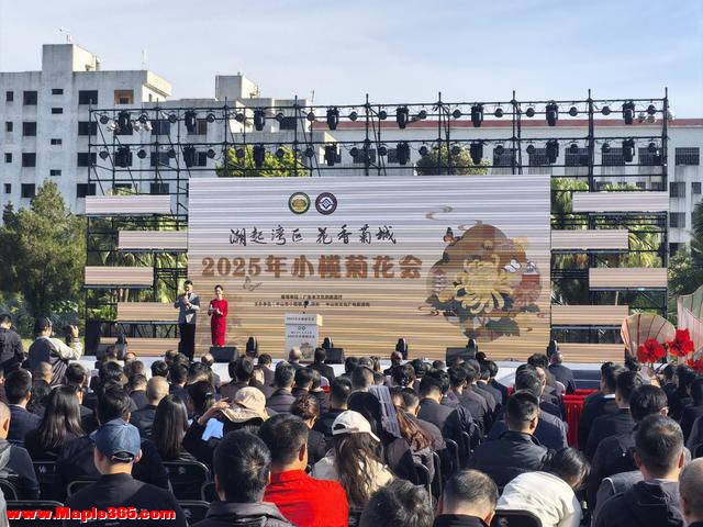 一年一度菊花盛会！2025年小榄菊花会11月28日开幕