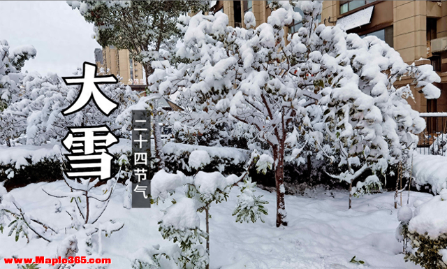 “大雪吃3鲜，一冬身体好”，明日大雪，“3鲜”指啥？咋吃更受益