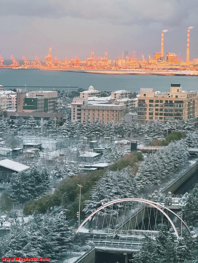 海砚时评 | 威海这场席卷全网的大雪，是今冬火爆旅游季的开场曲