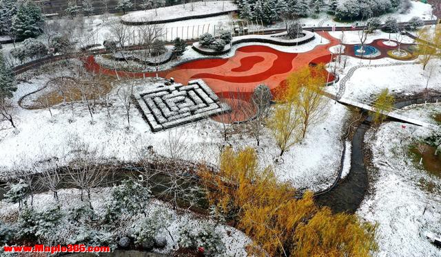 组图｜安徽涡阳雪后美景