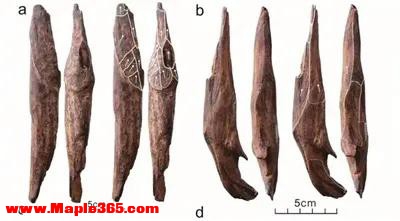 年度国内十大考古新闻发布