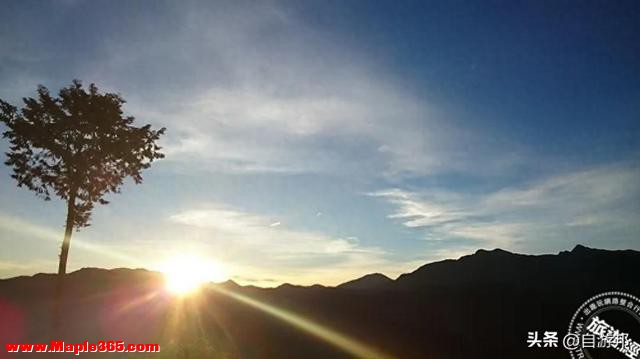 阿里山迎曙光，搭观日列车 送日落、迎曙光、赏美景，胜地一次看