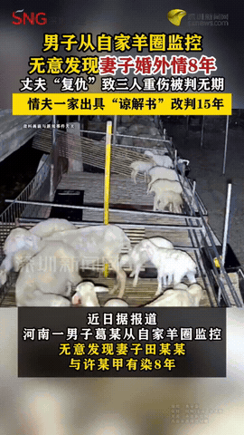 妻子羊圈偷情，丈夫提刀连捅3人，赔钱获刑15年太亏！