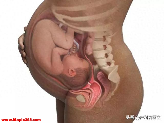 胎儿何时入盆？入盆后会有哪些征兆？