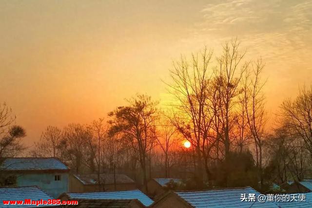 零下15度！河南四九天迎来寒冷暴击，真的要“猫冬”了？