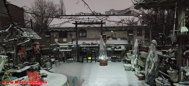 腊月初二，化些腊月雪备用