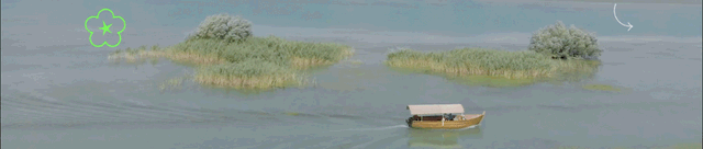 央视紧急曝光！这三类毒蔬菜全国流通，买菜切记避开三样！