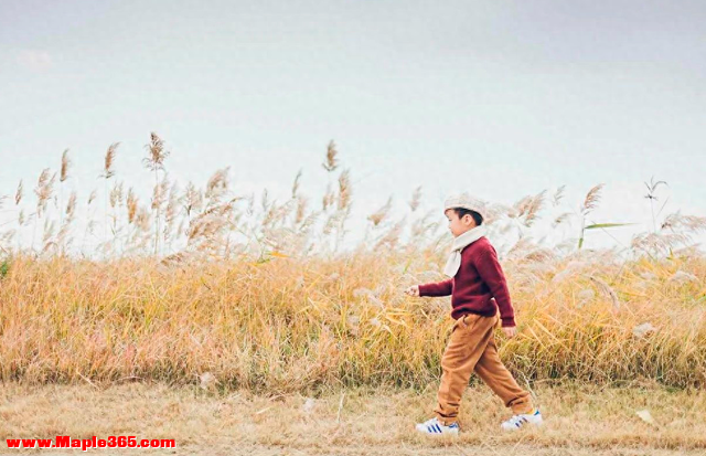 没矿的家庭，请“往死里”培养孩子这项能力，未来有大用处‼️