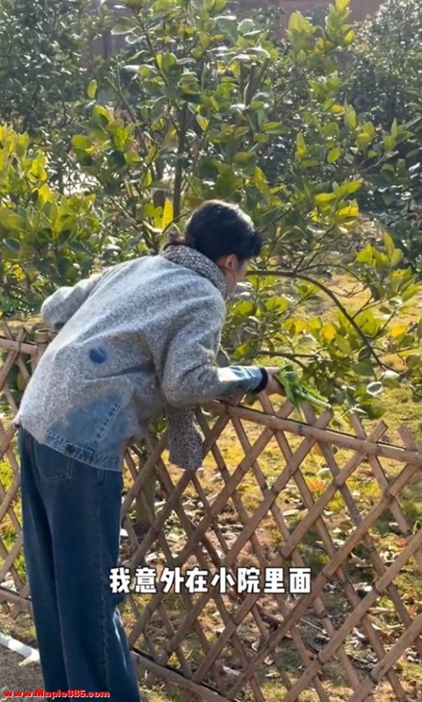 杨乐乐到小镇生活住木屋，自己做柴火饭喂鸭子，日子过得像单身