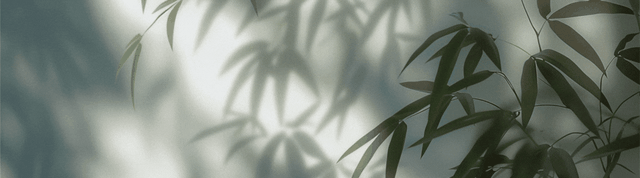 最后通牒已下, 特朗普点名中俄后, 丹麦通知全球：不许中国上岛投资