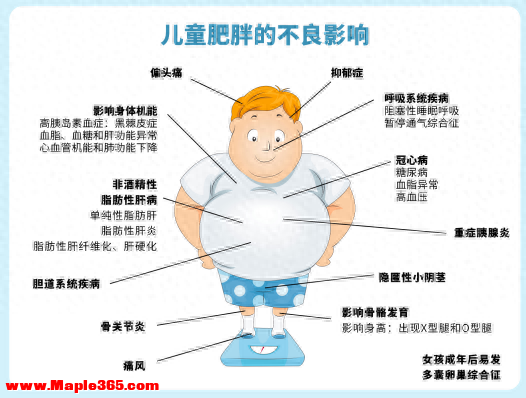 儿童肥胖的危害与科学辨别