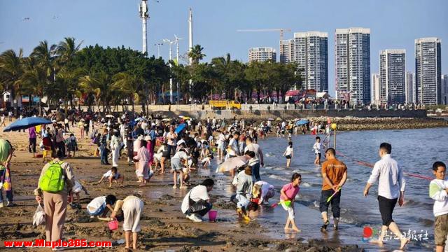 热度飙升！这个春节，湛江很热门！