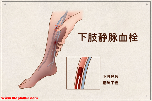 春节回家坐得太久腿发胀？教你坐着就能做的“隐形运动”