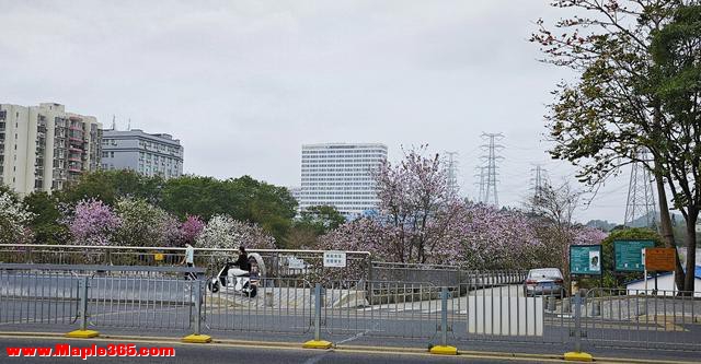 初二孩子每周五出去玩到很晚，我不反对，原因很简单