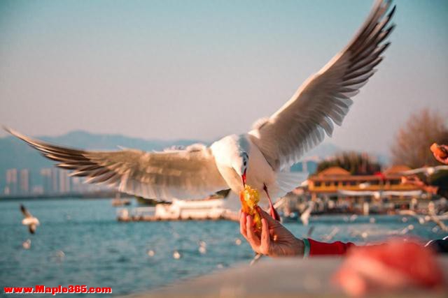 北京人去了昆明和贵阳，直言不讳：昆明和贵阳生活方式截然不同！