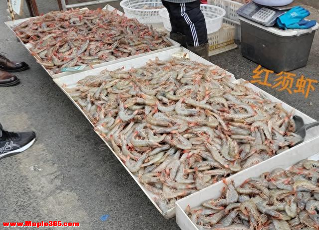 这5种海鲜全是“科技与狠活”，老板自己都不吃，看完告诉家人！