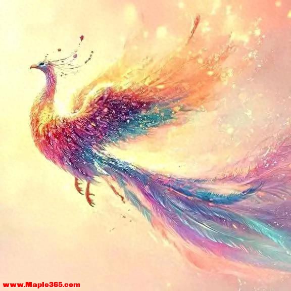 放下操心！孩子人生巅峰在望，务必签收美好未来！