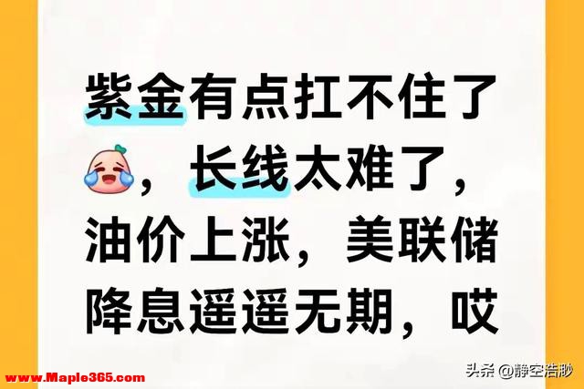 紫金矿业跌麻了！别再骗自己，这才是长线投资的真相