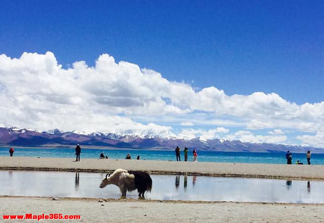 一生必去的10个地方！去过3个已算见过世面，第7个去过的人想定居