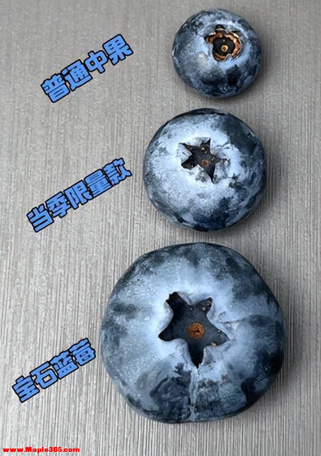 蓝莓越大越亏？关于水果“体型焦虑”的真相来了