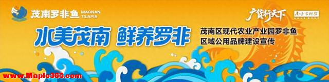 采购商、美食博主纷纷“种草”，茂南罗非鱼“鲜行天下”