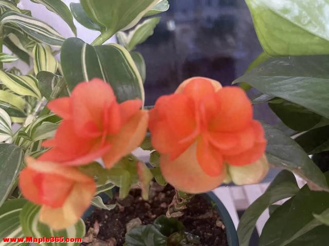 尽量不要和孩子分享这些！