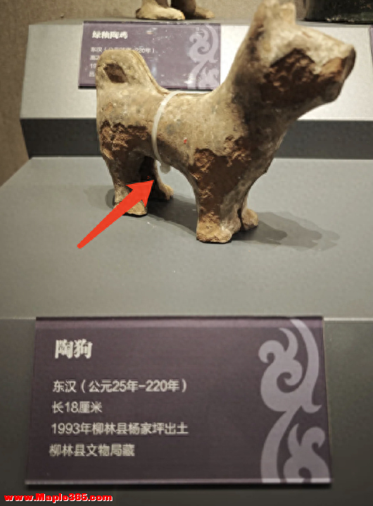 山西省吕梁市博物馆内一件东汉时期陶狗文物被捆上尼龙扎带引热议，工作人员：属实，馆方暂不具备专业修复资质，因此辅助固定，后续会优化