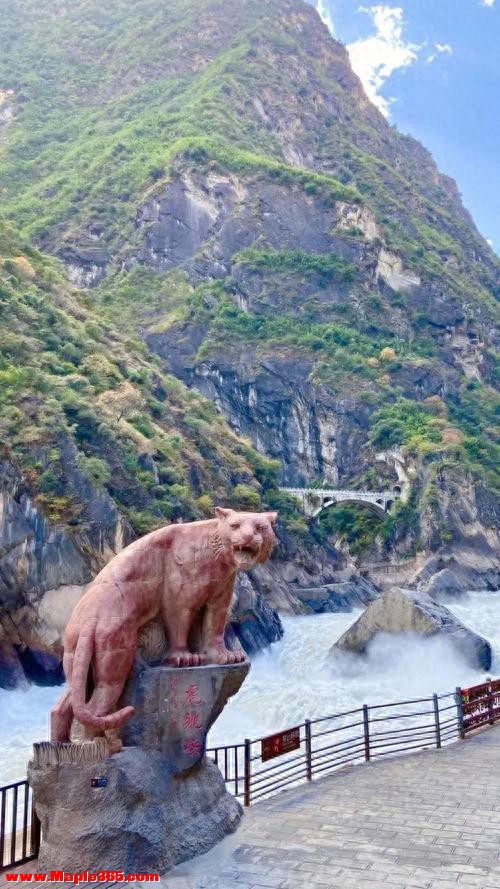 拿生命当流量筹码虎跳峡悬崖骑行情何以堪多方紧急喊停该好好管管