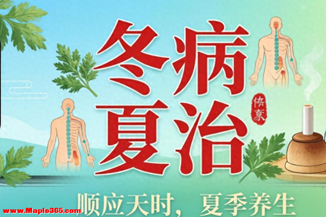 冬病夏治：顺应天时的排湿祛寒，在家灸罐新体验！