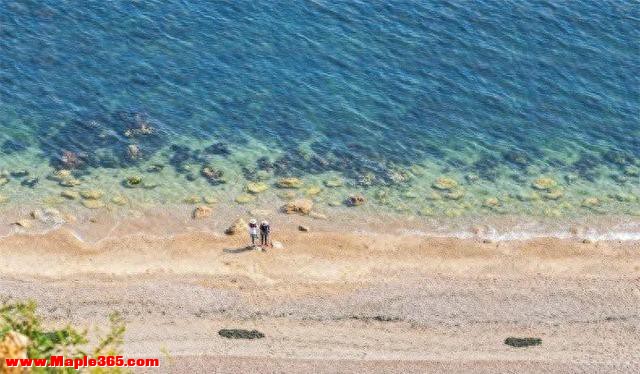 比厦门清净比青岛便宜！25℃烟台实现海鲜樱桃双自由