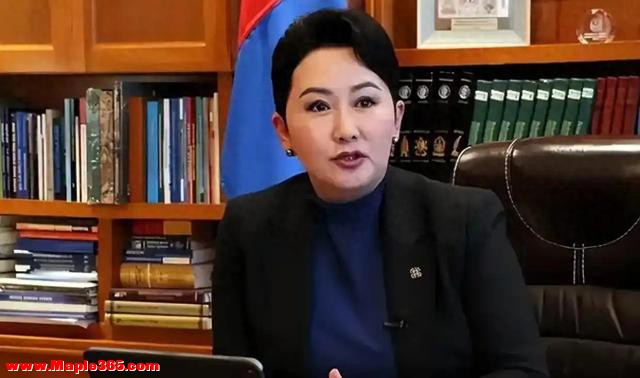 日本刚砸380亿拿下蒙古稀土，转头中国直接画红线，日本白忙活了