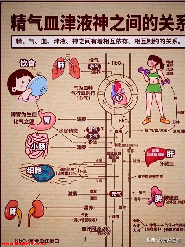 别再骂自己懒了！总犯困不是体力差，一招找回精气神