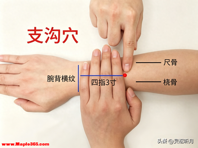 老中医私藏：按揉前臂这一窝，便秘耳鸣竟悄悄溜走了！太神了！