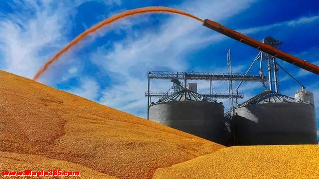 难怪今年我国加紧储备粮食！摩根大通预警，2027年或将迎来大危机