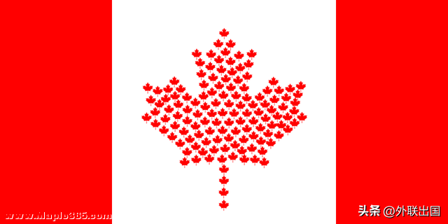 2022加拿大斩获多项移民纪录，这一计划或成未来爆发点-5.jpg