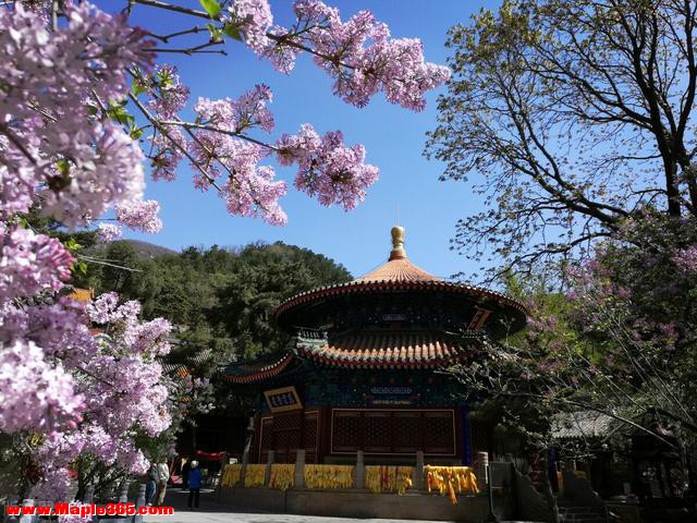 国内求姻缘最灵验的6大寺庙，其中2座在广州，拜过的人都说很灵验-3.jpg