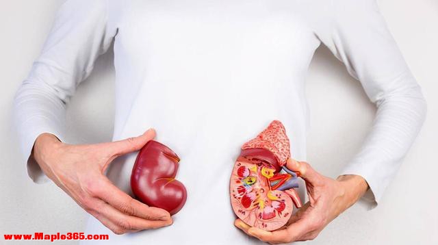 研究：吃伟哥可以减少心脏病发作且更长寿？医生说出实情-5.jpg