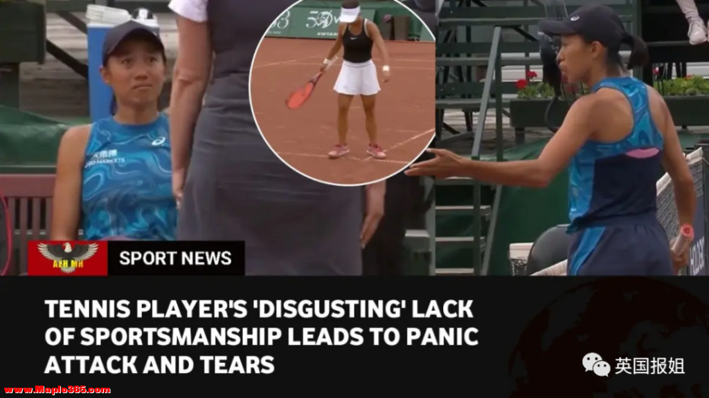 中国网球名将场上遭外国选手反复挑衅！她含泪退赛，世界网坛都怒了：体育史上的耻辱-1.jpg