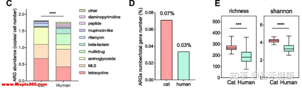 宠物猫可能塑造人类肠道中的抗生素耐药性和益生菌-3.jpg