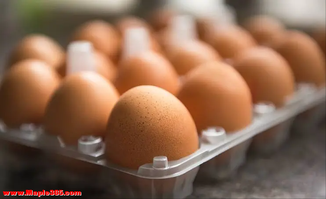 人造鸡蛋泛滥成本只要1毛钱？该如何分辨？教你一个方法轻松分辨-8.jpg