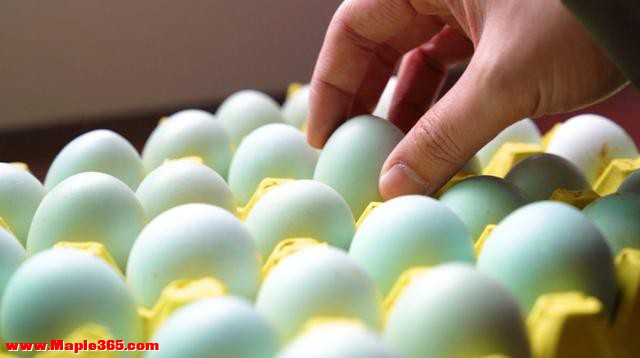 人造鸡蛋泛滥成本只要1毛钱？该如何分辨？教你一个方法轻松分辨-6.jpg