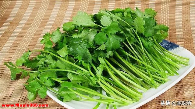 中国“最难吃”的5种蔬菜，吃过一半是牛人，全吃过是大神-7.jpg